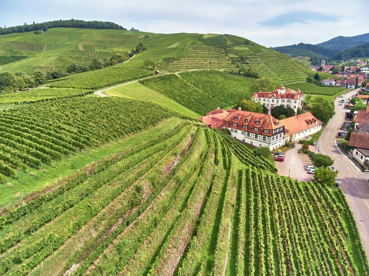 Hotel Residenz Im Schloss Neuweier Baden-Baden 3*,