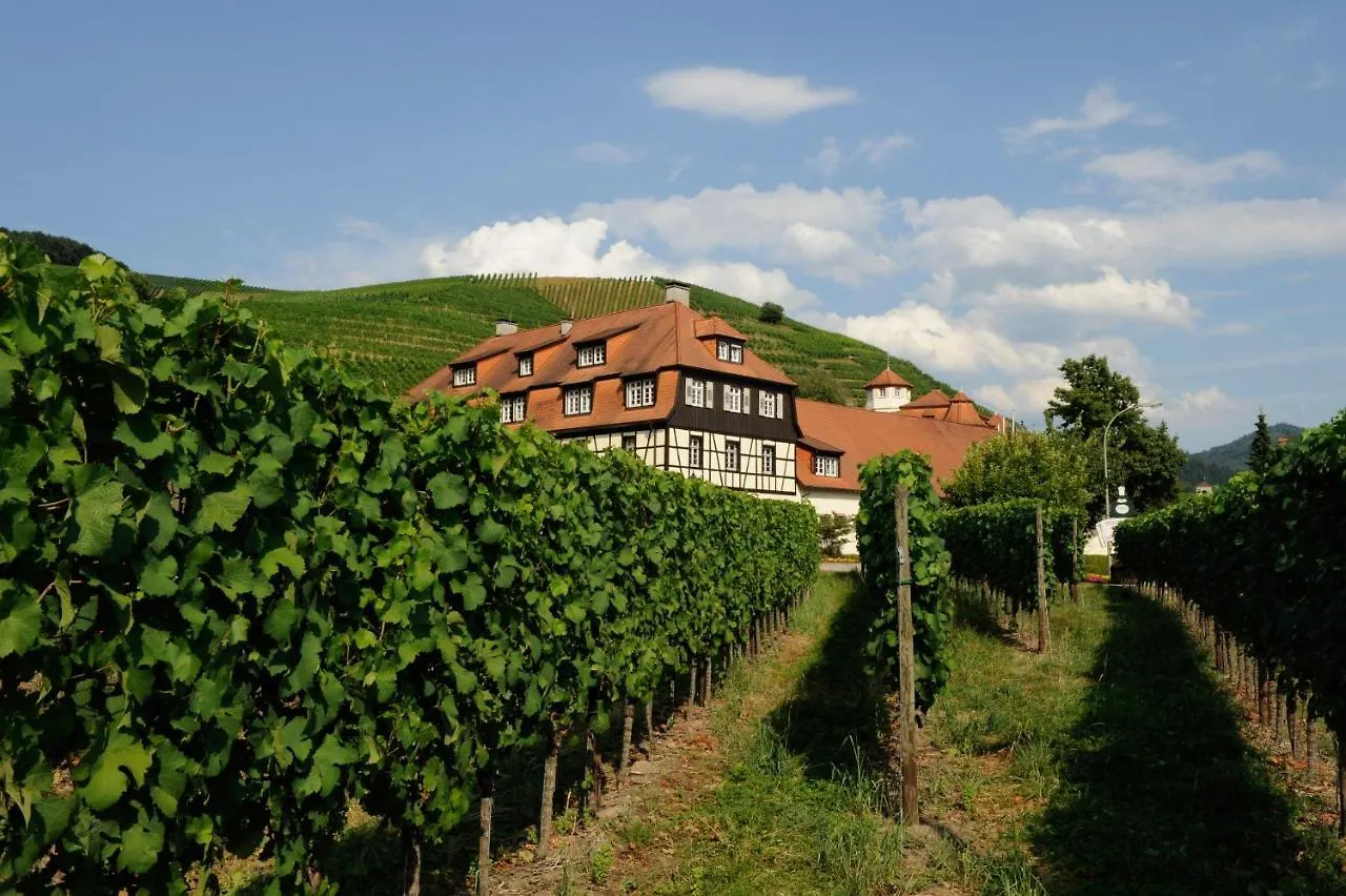 Hotel Residenz Im Schloss Neuweier Baden-Baden 3*,  Alemania